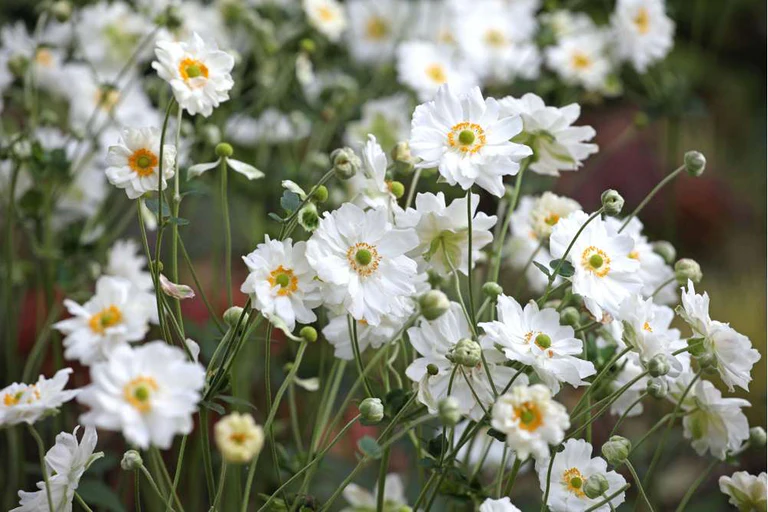 Danmarks grönaste röst — Søren Ryge avslöjar sina 8 favoritperenner